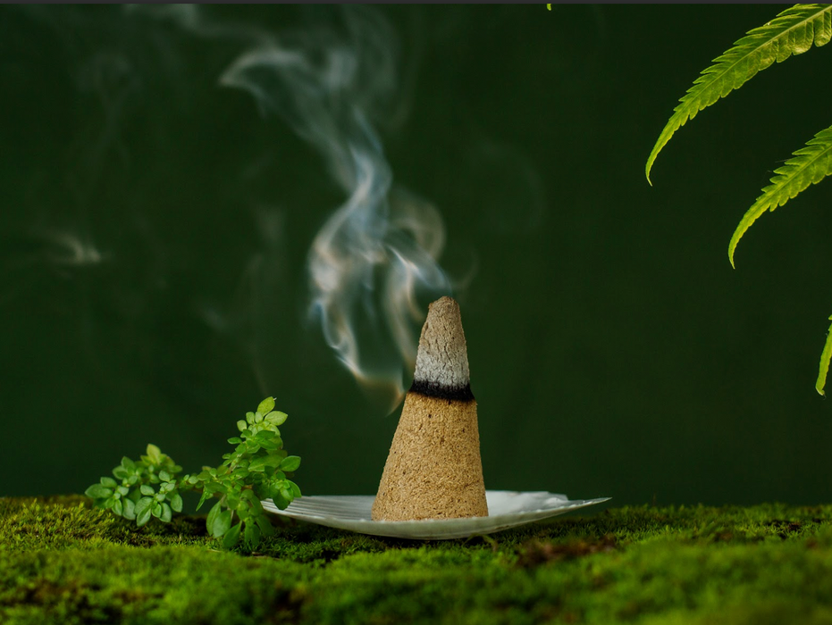 Incense "Agar wood Cones jar"/ 25pcs