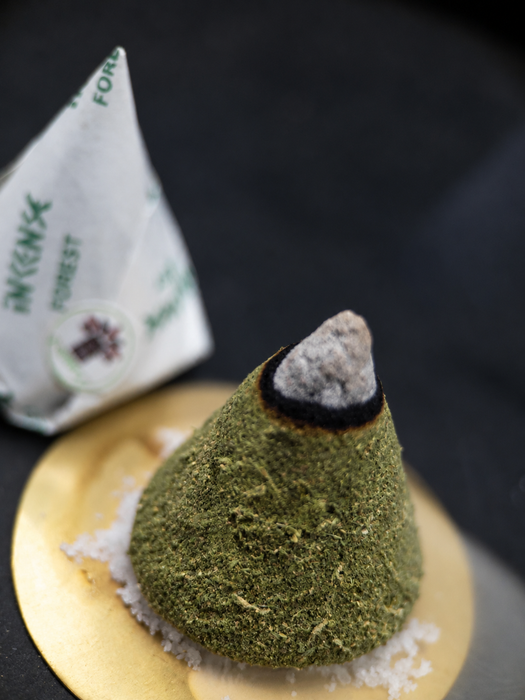 Forest Retreat Incense Cones | Natural Bali Handmade Incense | 30 pcs in Gift Tube with Holder