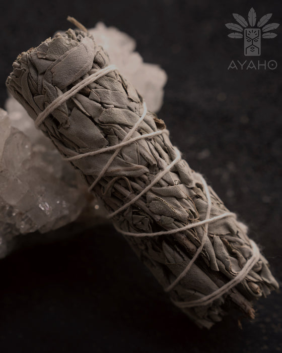 White Sage Smudge Bundle | Natural Dried Sage for Smudging & Energy Cleansing
