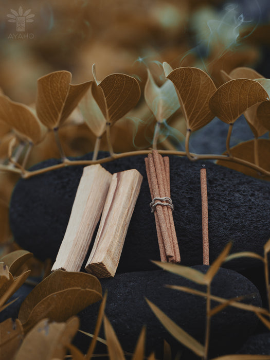Cinnamon sticks on a dark surface with leaves in the foreground