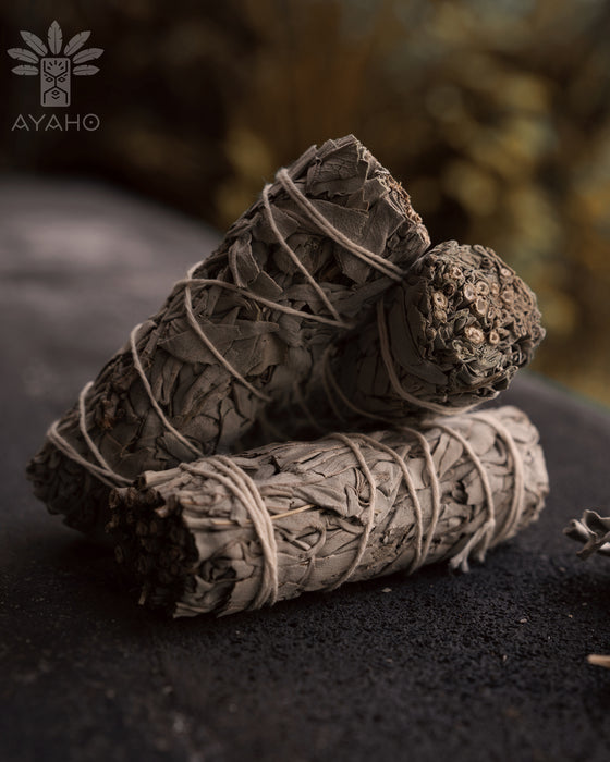 White Sage