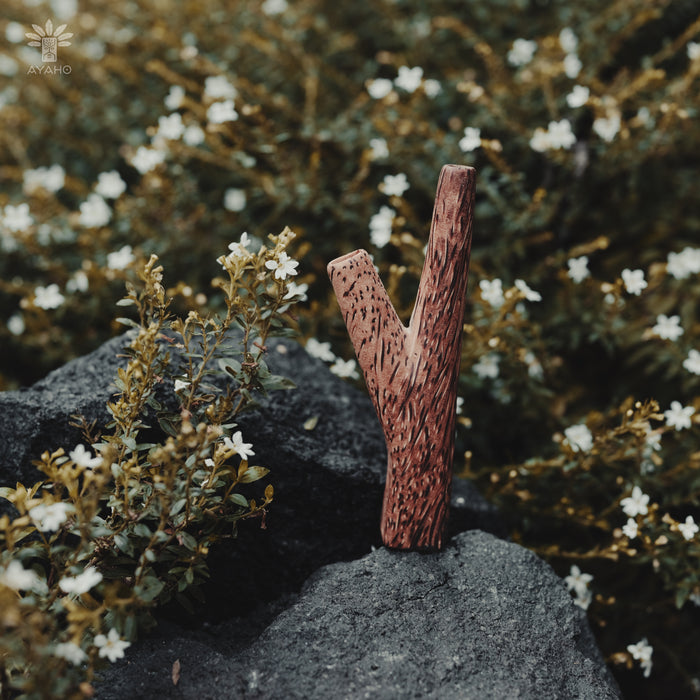 Wooden letter 'Y' on a rock with plants and flowers in the background