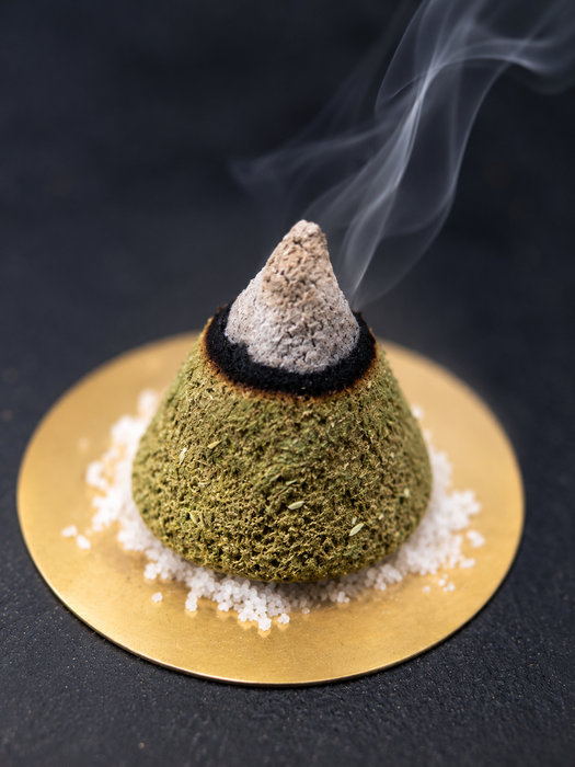 Forest Retreat Incense Cones | Natural Bali Handmade Incense | 30 pcs in Gift Tube with Holder