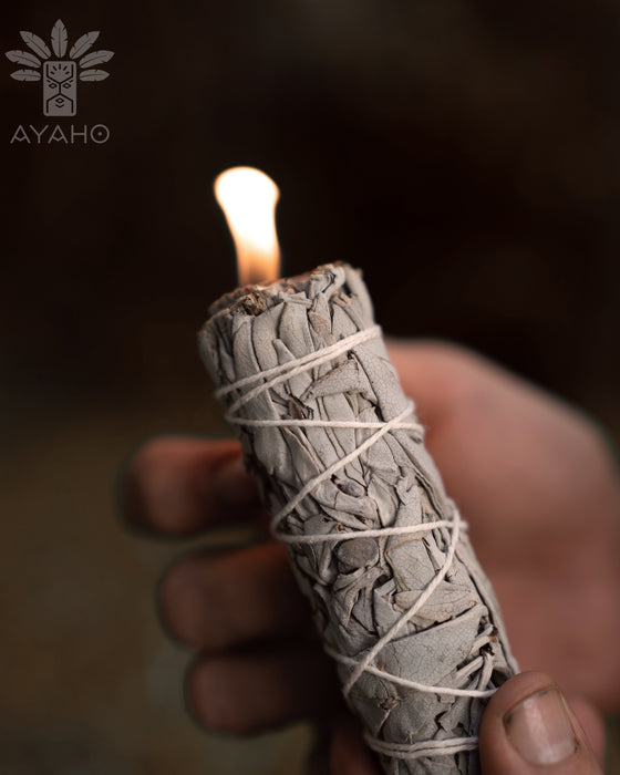 White Sage