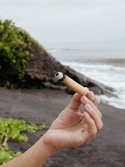 Hand holding a small object on a beach with ocean and rocks in the background