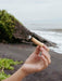 Hand holding a small object on a beach with ocean and rocks in the background