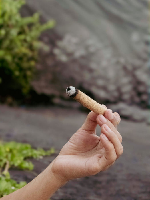 Palo Santo Retreat Incense Set