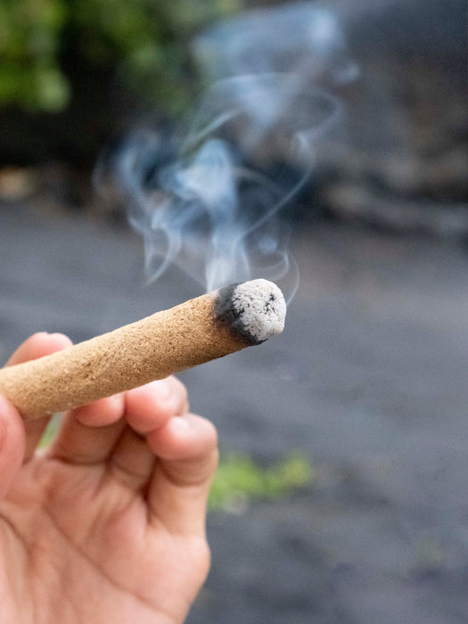 Hand holding a burning incense stick with smoke against a blurred natural background