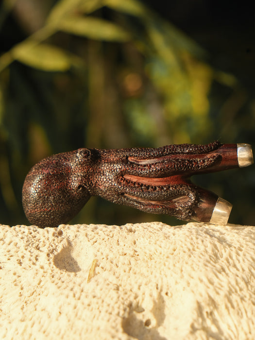 Octopus Kuripe hardcarved from Rosewood, Octopus Totem
