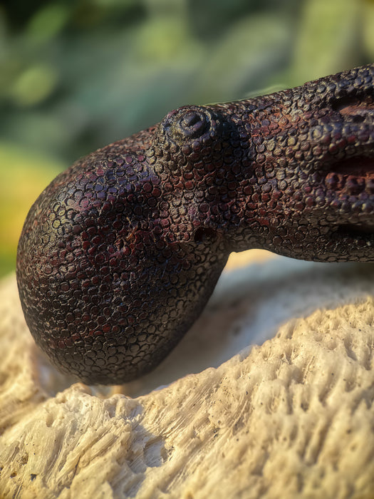 Octopus Kuripe hardcarved from Rosewood, Octopus Totem