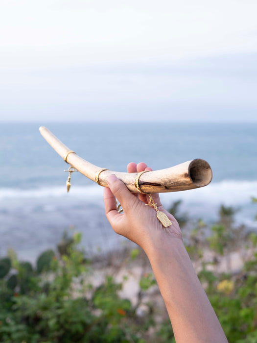Hand holding a gold-colored horn against a scenic ocean backdrop