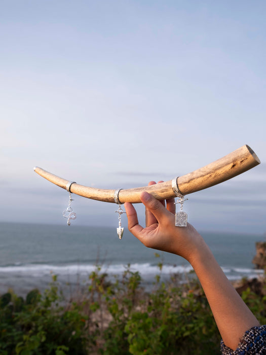 Hand holding a longhorn with earrings against a scenic ocean backdrop