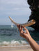 Hand holding a piece of driftwood with charms against a beach background