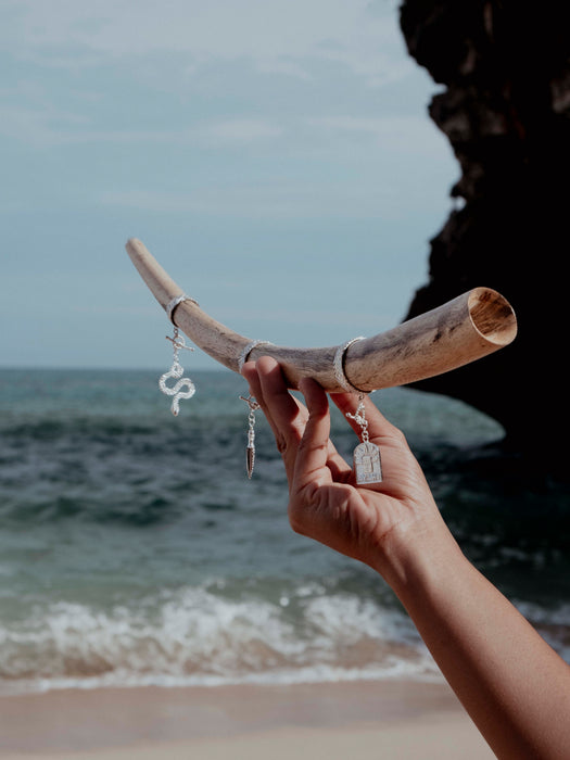 Hand holding a branch with earrings against a beach background