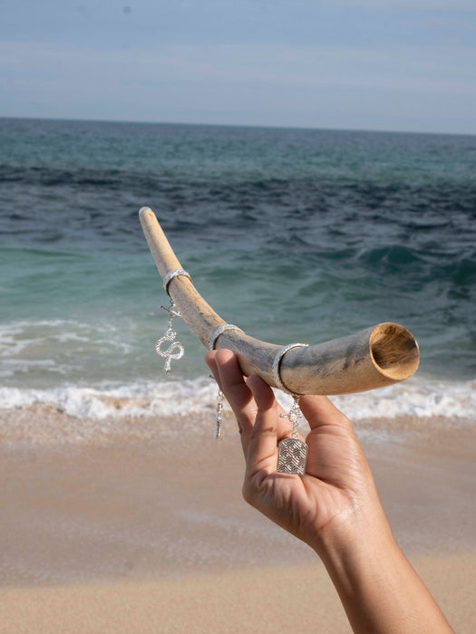 Hand holding a large shell against a beach backdrop with ocean waves.