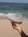 Hand holding a large driftwood stick on a beach with ocean waves in the background