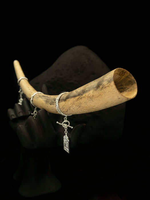 Wooden horn with silver charms on a black background