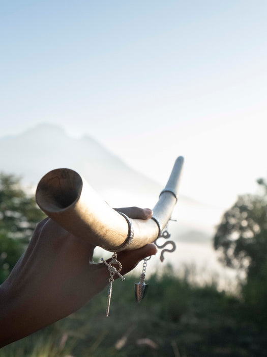 Tamarind Wood Traditional Wooden Tube with Silver-Plated Decor