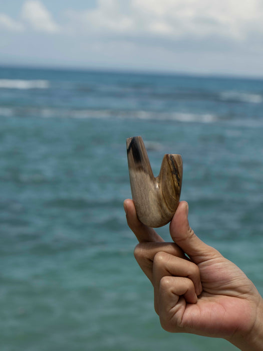 Petrified Wood Kuripe Pipe