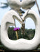 Necklace with a pendant hanging from a heart-shaped stone sculpture with a blurred natural background.