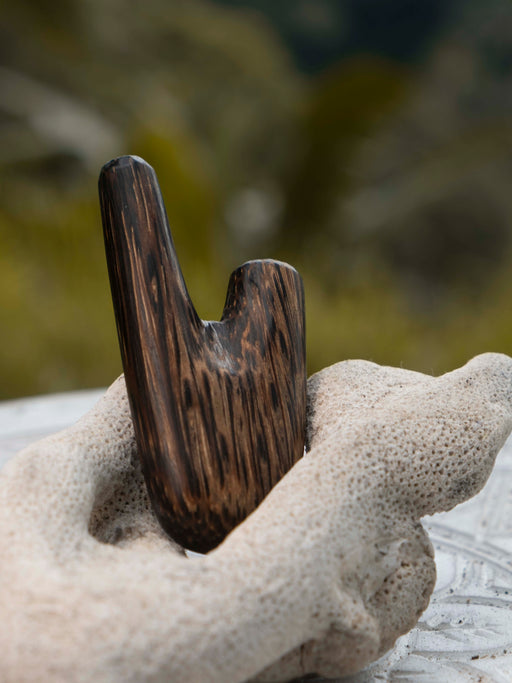 Wooden tool on a piece of coral with a blurred natural background