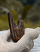 Wooden tool on a piece of coral with a blurred natural background