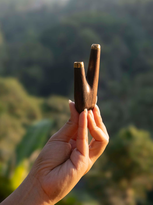 Hand holding a wooden object against a blurred natural background