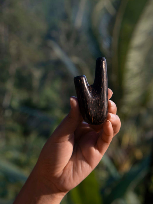 Hand holding a dark brown wooden object against a blurred natural background
