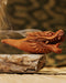 Exquisite wood smoking pipe featuring a dragon design, perfect for collectors and enthusiasts.