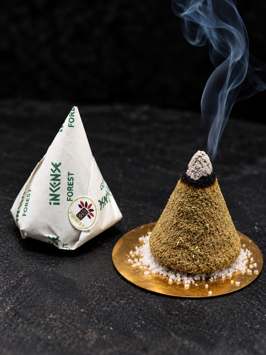 Forest Retreat Incense Cones | Natural Bali Handmade Incense | 30 pcs in Gift Tube with Holder