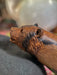 Wooden handle with a carved bear face design on a blurred background