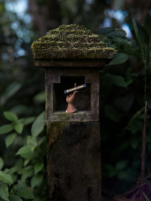 Palo Santo Incense – Natural Sacred Wood Incense