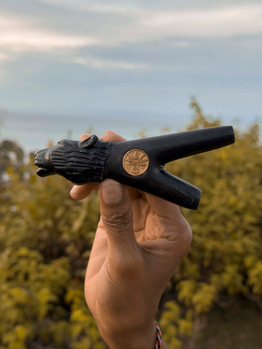 Hand holding a black guitar capo with a lion design against a blurred natural background