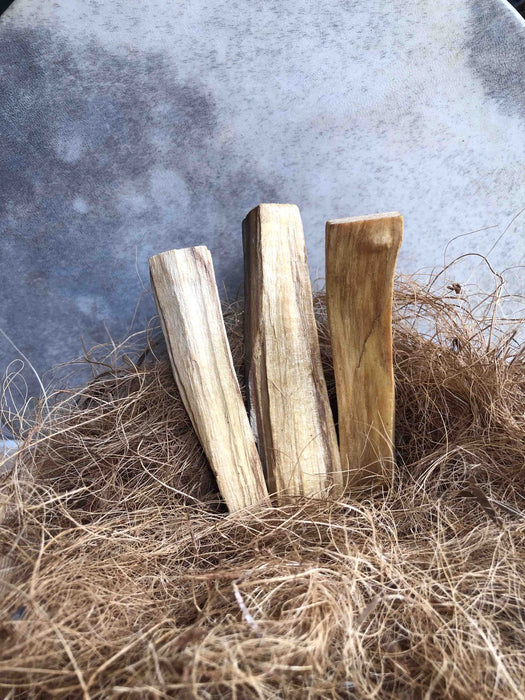 Palo Santo Medium Sticks