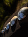 Close-up of metallic oval stones on a dark surface with blurred greenery in the background