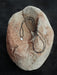 Necklace with a pendant on a textured stone surface