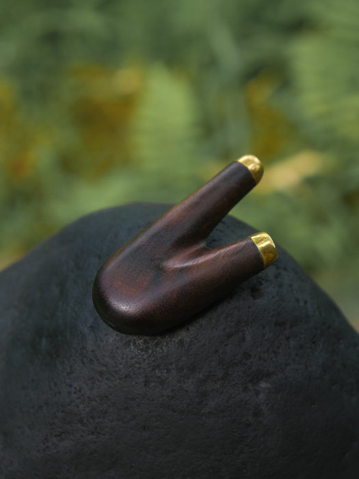 Wooden violin bow with gold tips on a dark surface with a blurred green background