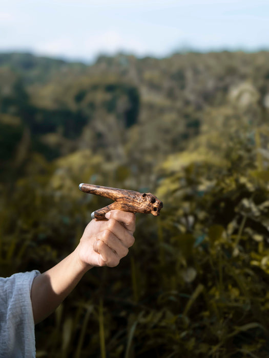 Hand holding a stick in front of a blurred forest background