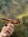 Hand holding a wooden tool against a blurred natural background