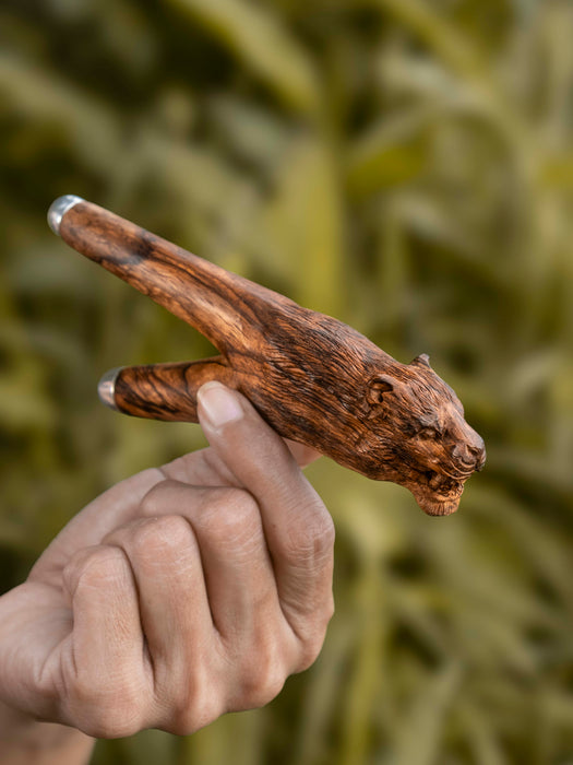 Hand holding a wooden object with a blurred natural background