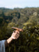 Hand holding a stick in front of a blurred forest background