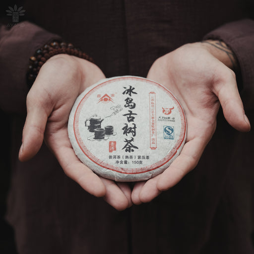 Hand-pressed tea cake wrapped in traditional paper, showcasing unique terroir of Nordic-grown puerh leaves