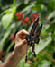 Transformer Tepi Kuripe from Rose Wood, perfect for hape applications, deepening your connection to herbal medicine.