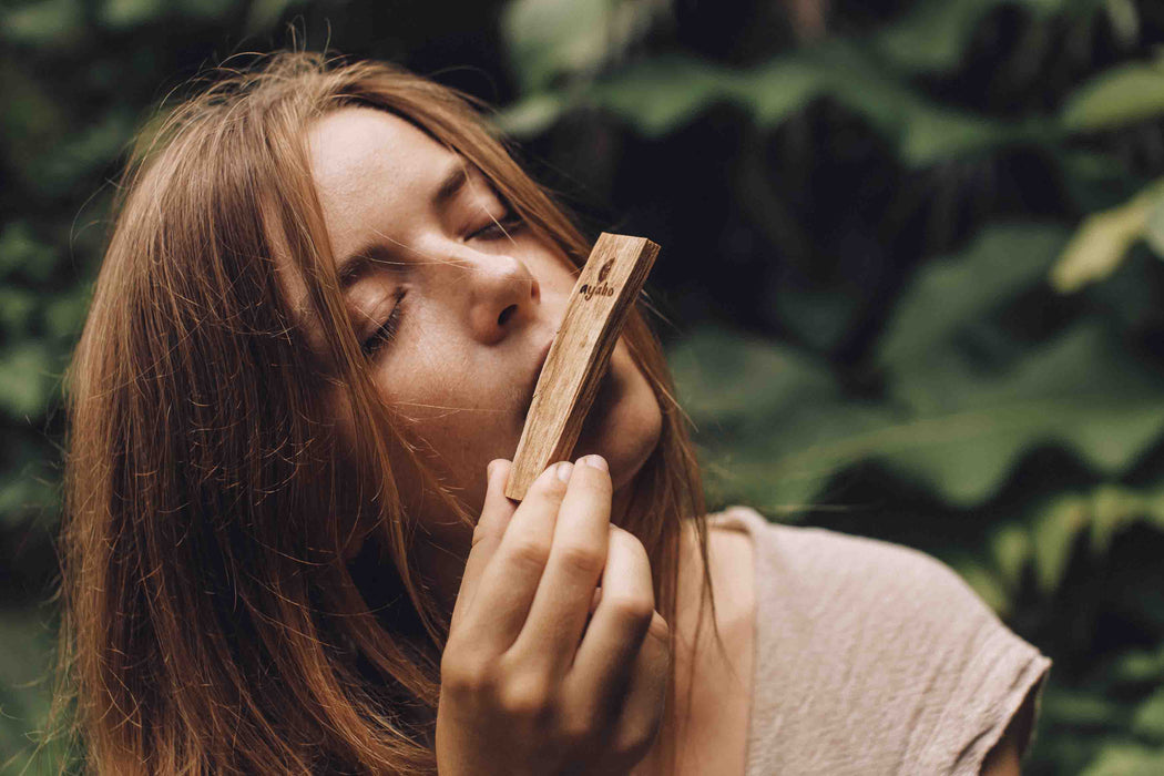 Palo Santo Medium Sticks