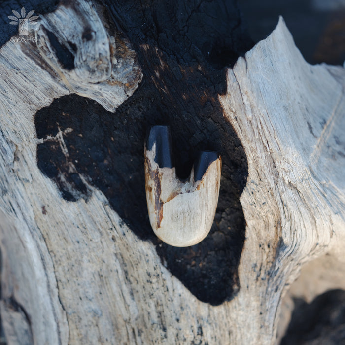  Nature's art in the Kuripe pipe crafted from petrified wood, showcasing its history.