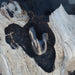 Unique patterns of petrified wood in the Kuripe pipe, highlighting its organic origins.