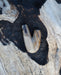 Warm hues of the Kuripe pipe made from petrified wood, inviting and comforting.