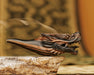 Premium black wood smoking pipe featuring a dragon, designed for aficionados who appreciate fine