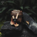 Hand-carved bamboo snuff pipe coated in volcanic ash, featuring polished hematite stones for energy grounding during hapé rituals