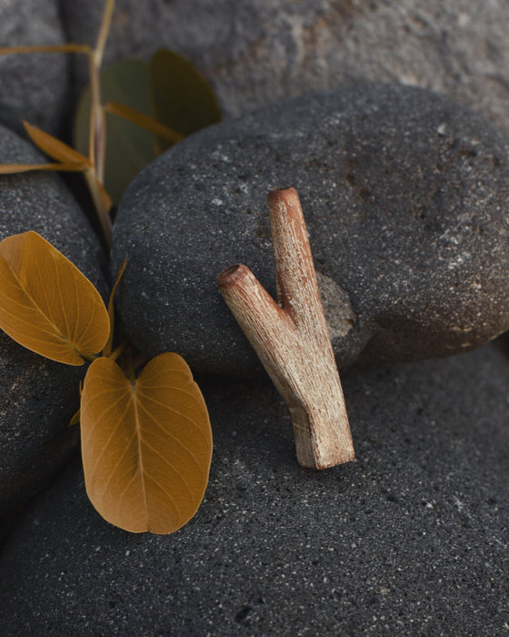 Teakwood kuripe alongside hape snuff, illustrating its use in traditional shamanic practices